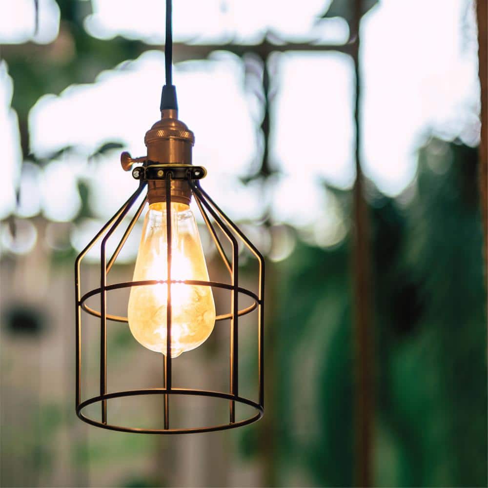 60-Watt Equivalent ST64 Vintage Style Edison Bulbs, Incandescent Dimmable E26 Filament Bulb, 2700K (6-Pack)