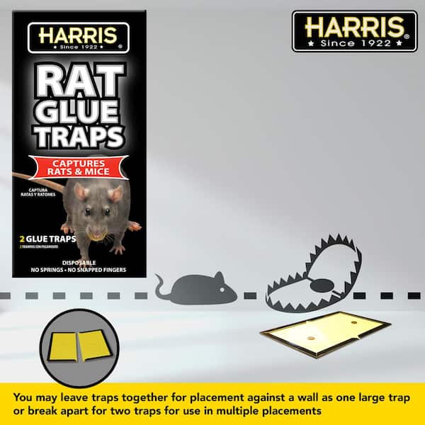 2 PCS Mouse Traps Indoor For Home, Super Sticky Mouse Trap With  Ultra-Strong Glue For Mice & Snakes, Pet Safe Pest Control For House &  Garage, Non-Tox