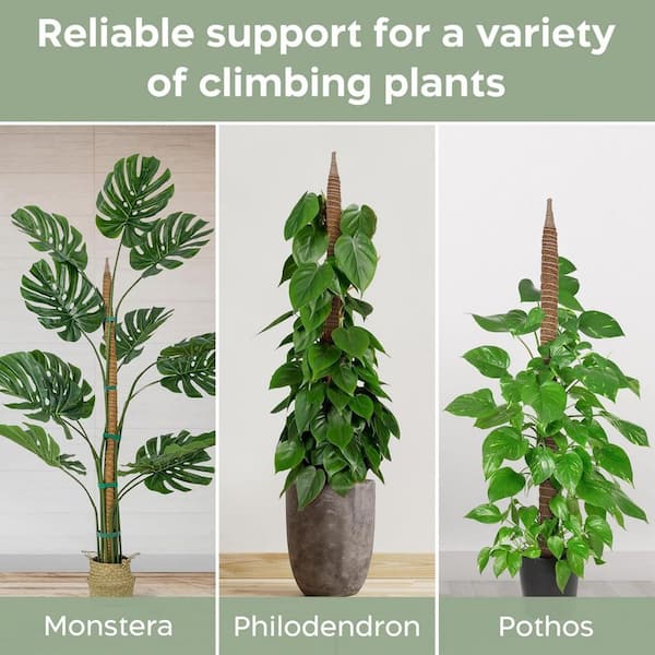 Cubilan 1-Pack 63 in. Bendable Moss Pole Monstera Plant Support-Coconut Palm Fiber-Brown-Climbing Plant Support Structure