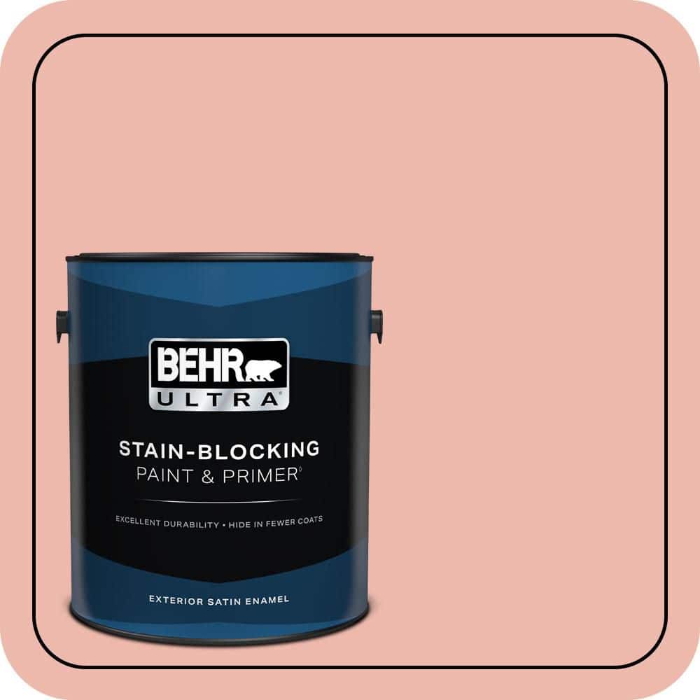 1 gal. #M170-3 Carnation Coral Satin Enamel Exterior Paint & Primer product image for price tracking