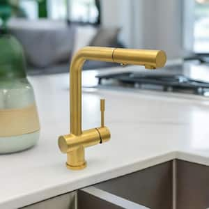 Nassau 1-Handle Pull Out Sprayer Kitchen Faucet (With Spray Feature) in Brushed Gold