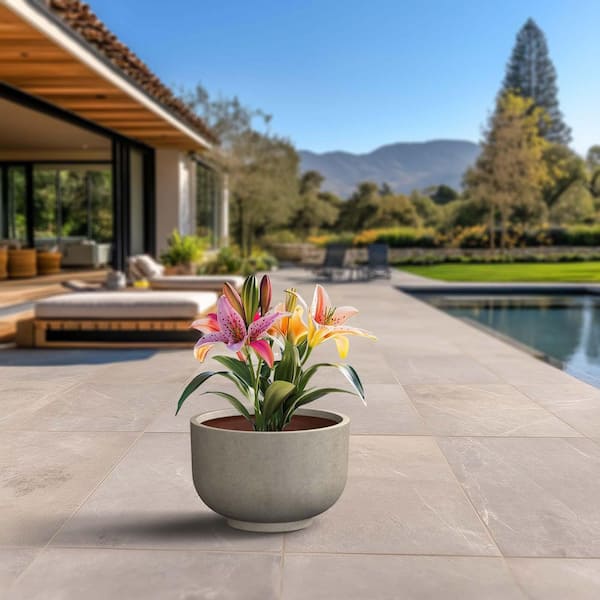 Sapcrete 18 in. Large Light Gray (Enhanced Interior) Concrete Round Planter / Pot with Drainage Holes