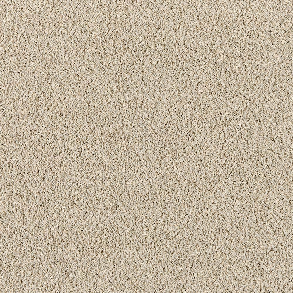 8 in. x 8 in. Texture Carpet Sample - Radiant Retreat I  - Color Seashell price history on PriceWatchPro
