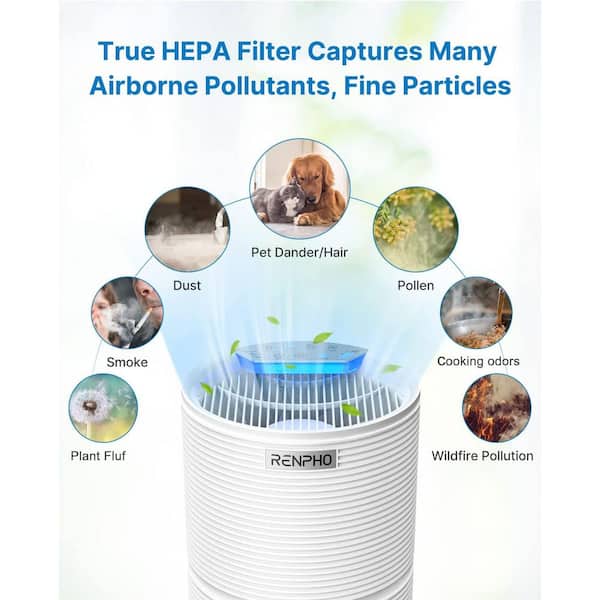 LEVOIT Air Purifiers for Home Large Room with HEPA Filter, Cleaner for  Allergies and Pets, Smokers, Mold, Pollen, Dust, Quiet Odor Eliminators for