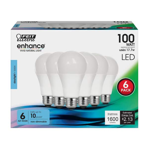 Sylvania 14-Watt (100-Watt Equivalent) A19 LED Light Bulb in 5000K Daylight  Color Temperature (4-Pack) 78103 - The Home Depot