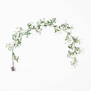 6.5 ft. Lighted Artificial Olive Garland with 100 Warm White LED Lights