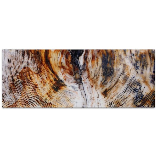 63 in. x 24 in. "Impact B" Frame-less Free Floating Tempered Glass Panel Graphic Art