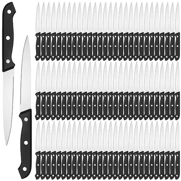 8.78 in. Stainless Steel Serrated Pointed-Tip Steak Knives with Plastic Handle for Restaurant and Catering
