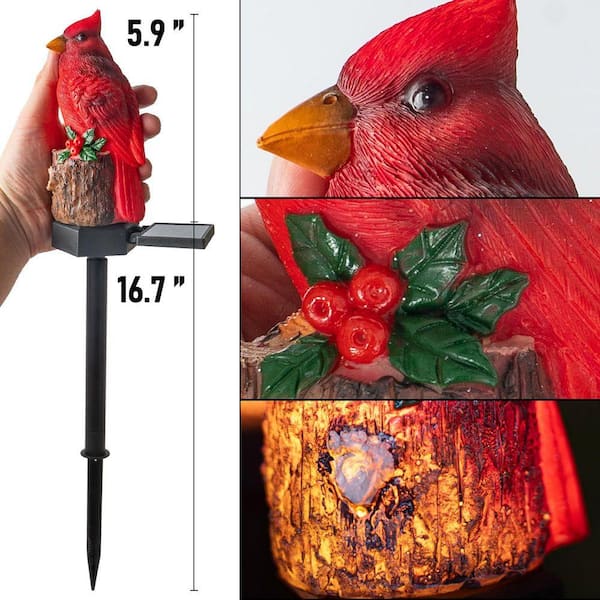 2-Pack 22.5 in. Cardinal Bird Solar Lights, Red Bird Solar Powered