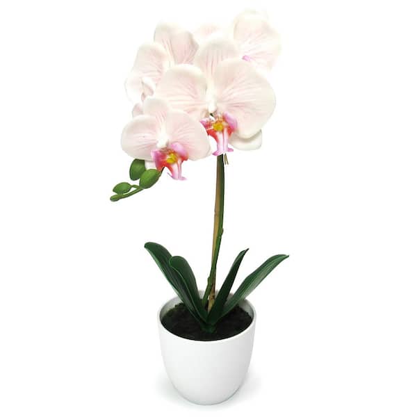 17 in. Blush Peach Artificial Phalaenopsis Orchid Flower Arrangement in White Pot