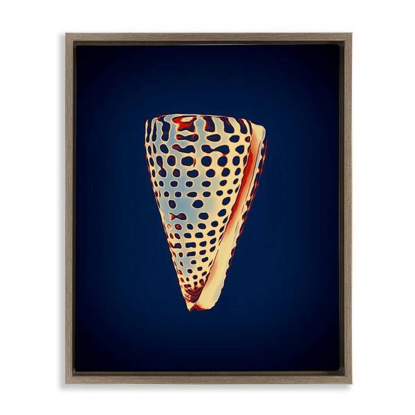 Cone Shell on Blue by Graffi tee Studios Brown Floater Frame Coastal Graphic Art Print 21 in. x 17 in.
