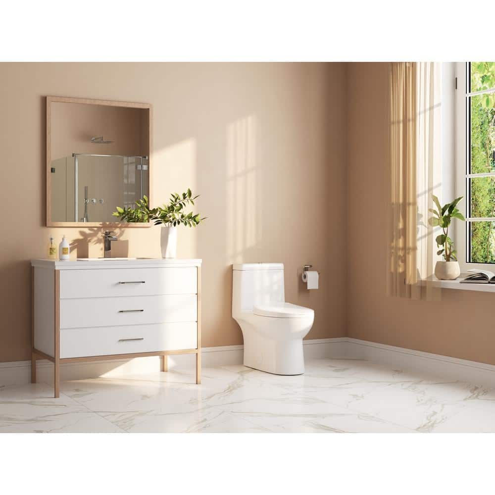 White Ceramic Dual-Flush Elongated One-Piece Toilet with Soft-Close Seat