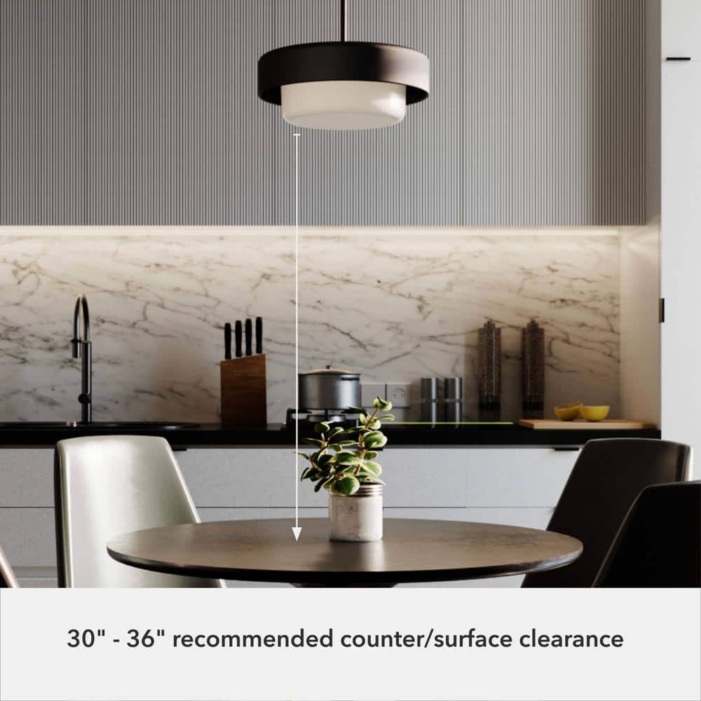 Station 14" Modern Drum Pendant with Frosted Glass in Natural Black Iron