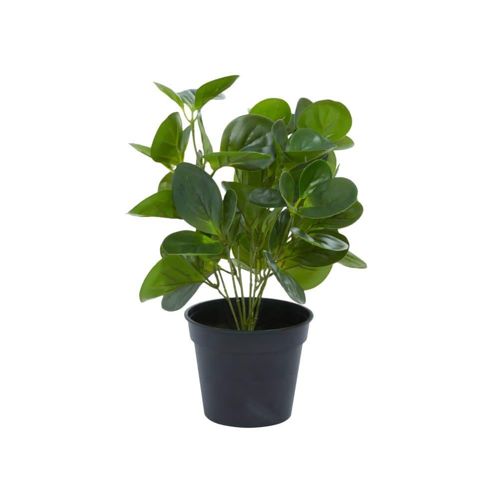 13" Green Artificial Eucalyptus Plant in Black Pot