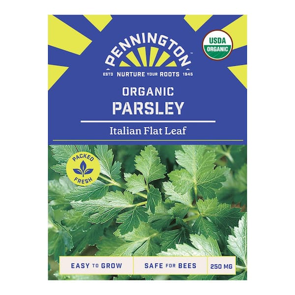 Organic Parsley Italian Flat Leaf Herb Seed