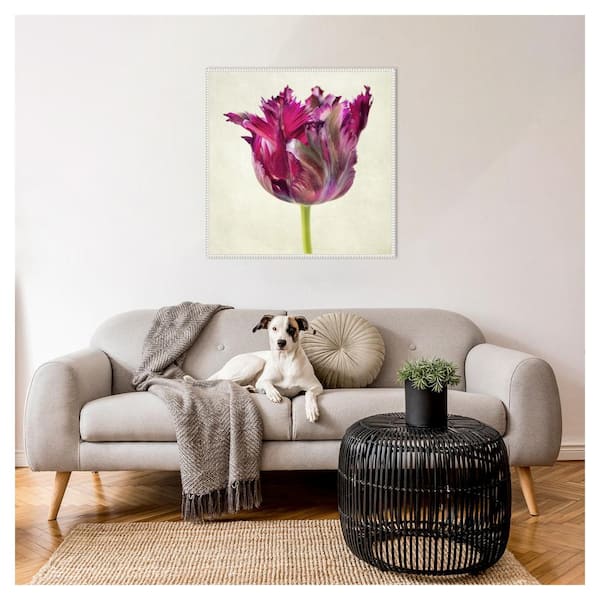Amanti Art Single Parrot Tulip II by Dianne Poinski 30 in. W x 30 in. H Canvas Float Frame in White