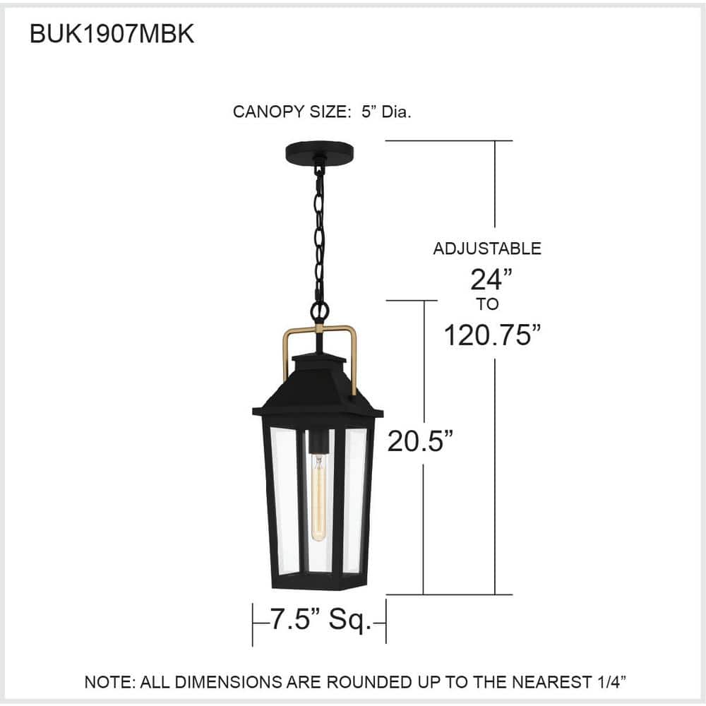 Buckley Matte Black Outdoor Hanging Lantern with Clear Glass
