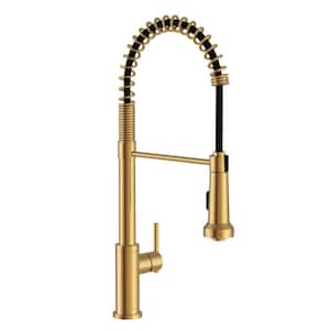 Parma Single Handle Pull Down Sprayer Kitchen Faucet with Pre-Rinse Spout in Brushed Bronze