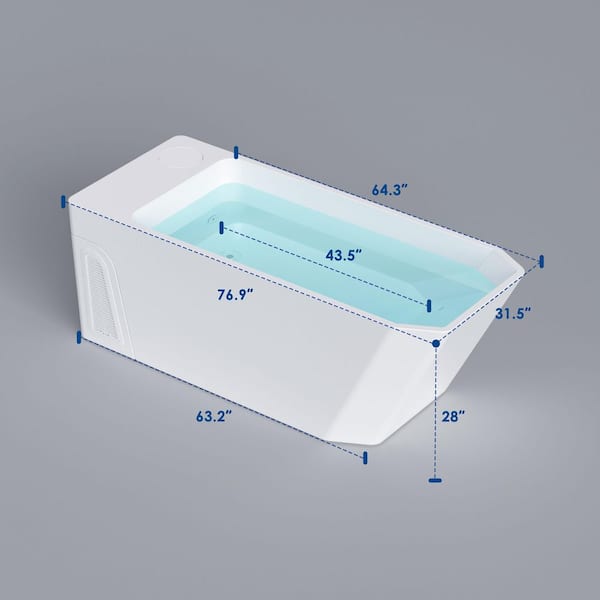 77 in. x 31.5 in. Cold Plunge Freestanding Bathtub 2 Jets Ice Bath W/ Ozone Sterilization - Chiller - Heater in White