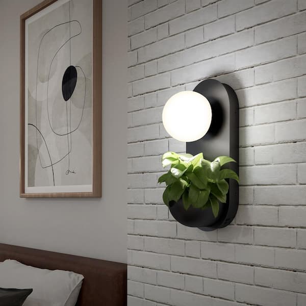 Bloomfield Planter Modern 1-Light Dimmable Black Integrated LED 5 CCT Wall Sconce for Bathroom