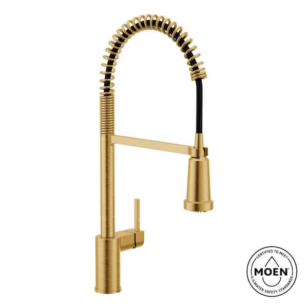 Align Single Handle Pre-Rinse Spring Pull Down Sprayer Kitchen Faucet with Optional 3- in -1 Water Filtration in Gold