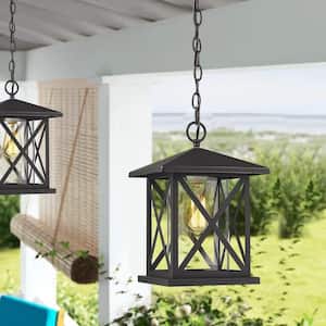 1-Light Black Outdoor Hanging Lantern