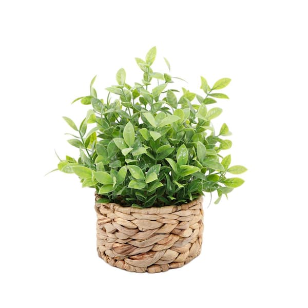 Flora Bunda 6 " Natural Artificial Tealeaf in Basket