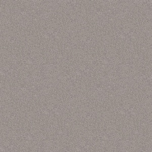 Watercolors I - Chrome - Gray 28.8 oz. Polyester Texture Installed Carpet
