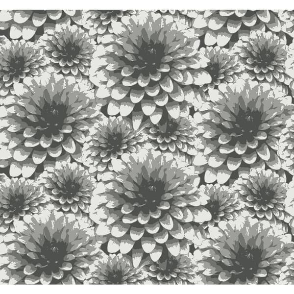 A-Street Prints Umbra Charcoal Floral Charcoal Wallpaper Sample