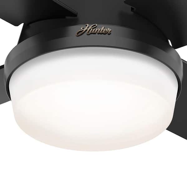 Hunter 44in Dempsey Low Profile Outdoor Ceiling Fan in Matte Black with LED Light and Handheld Remote