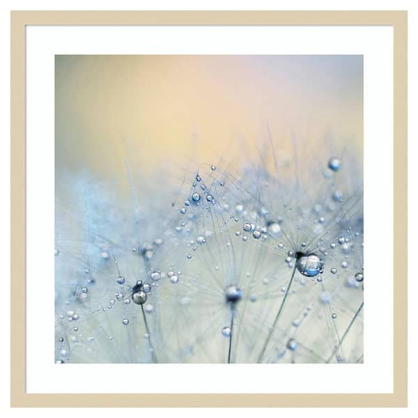 Amanti Art Ice blue by Ingrid Beddoes 25 in. W x 25 in. H. Wood Framed Wall Art Print Framed in Brown