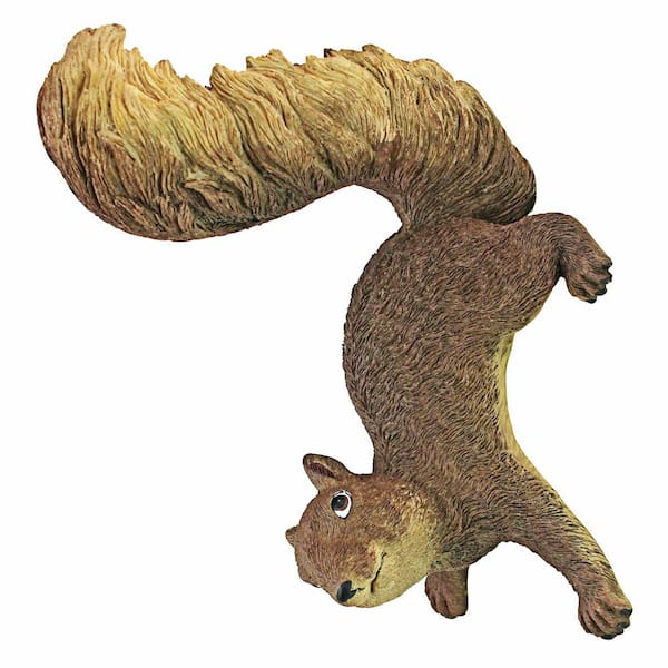 Design Toscano 8 in. H Simone, the Squirrel Hanging Garden Statue Sculpture