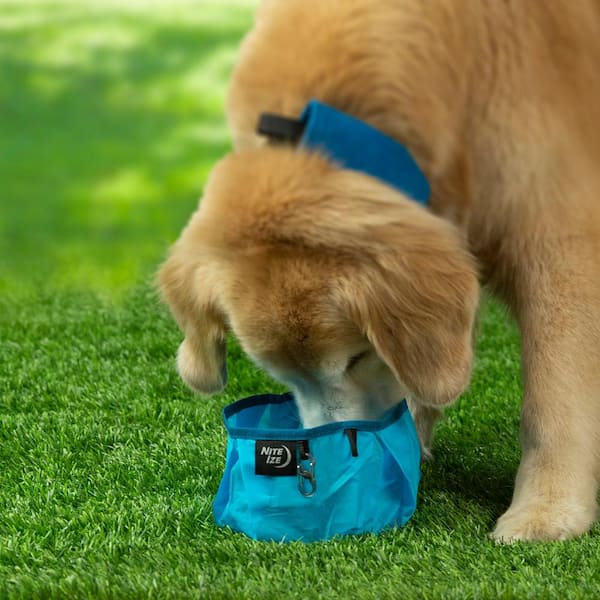 nite ize raddog collapsible bowl