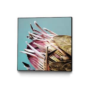 20 in. x 20 in. "Protea Cynaroides" by Ivan Ballack Framed Wall Art