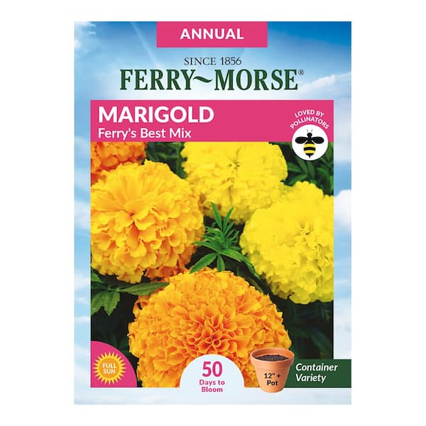 Ferry-Morse Marigold Sierra Mix Flower Seeds