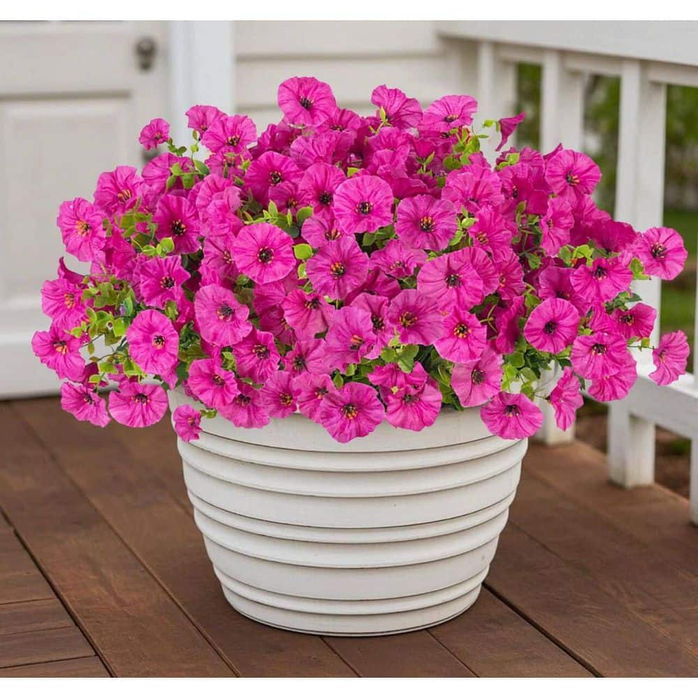 14 in. Pink in Door/Outdoor Artificial Morning Glory Flower