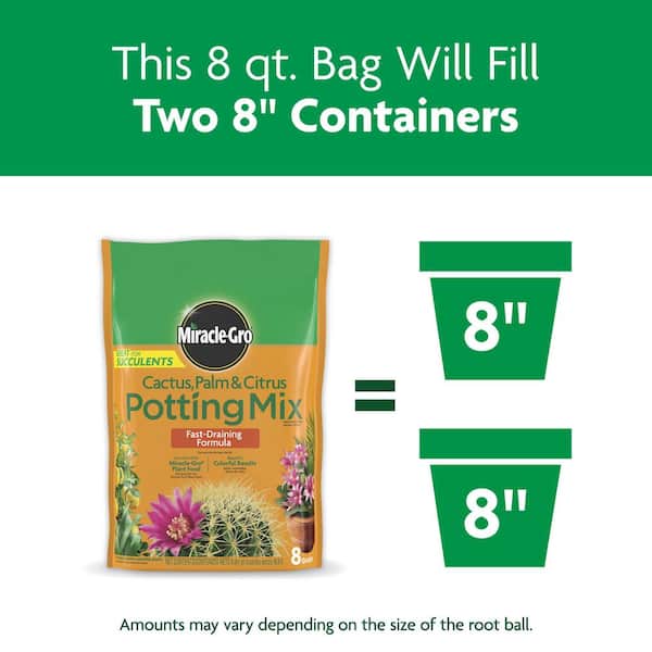 Miracle-Gro Cactus, Palm & Citrus Potting Mix 2-Pack