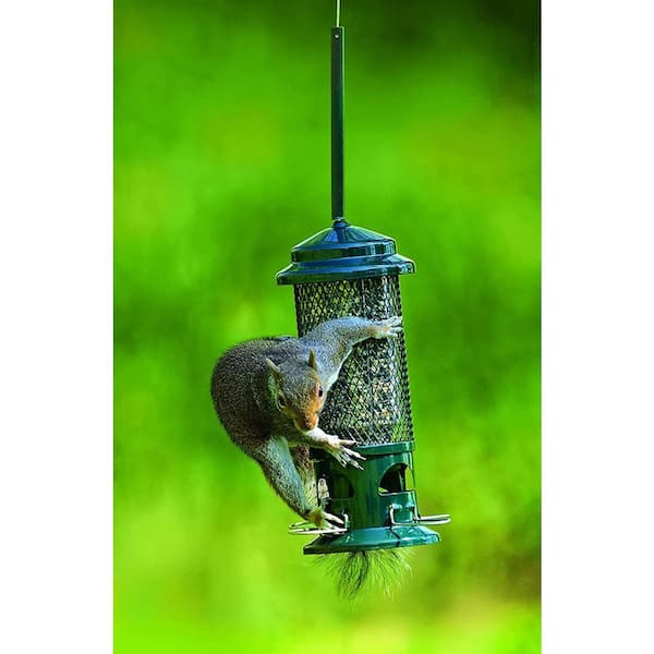  HSHD Rooster Solar Bird Feeder,Squirrel-Proof Bird