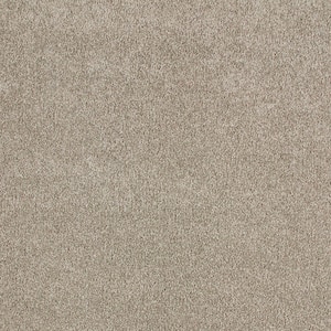 Cleoford Yarn Beige 47 oz. Triexta Texture Installed Carpet