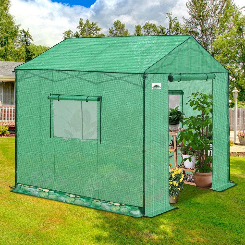 EAGLE PEAK 8 x 8 Portable Pop-Up Greenhouse, Walk-In Outdoor