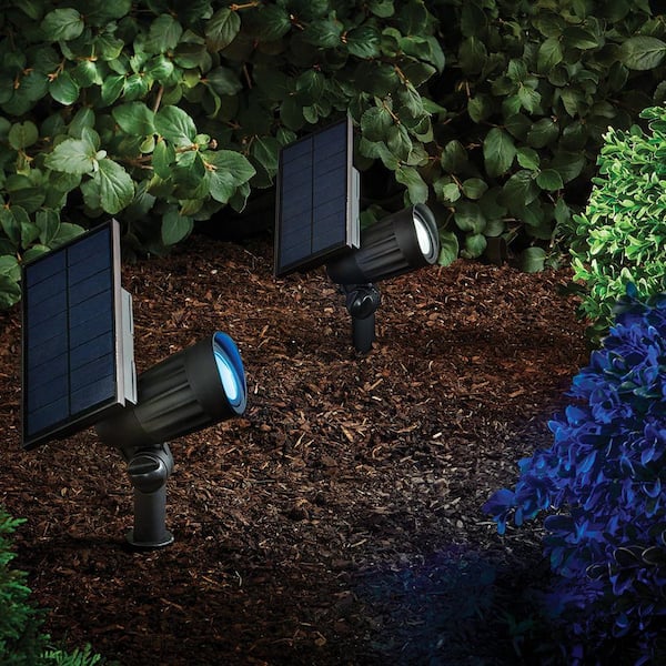 Hampton Bay 80 Lumens Color Changing Black Integrated LED Outdoor Solar Spotlight with Adjustable Beam; Weather/Rust Resistant