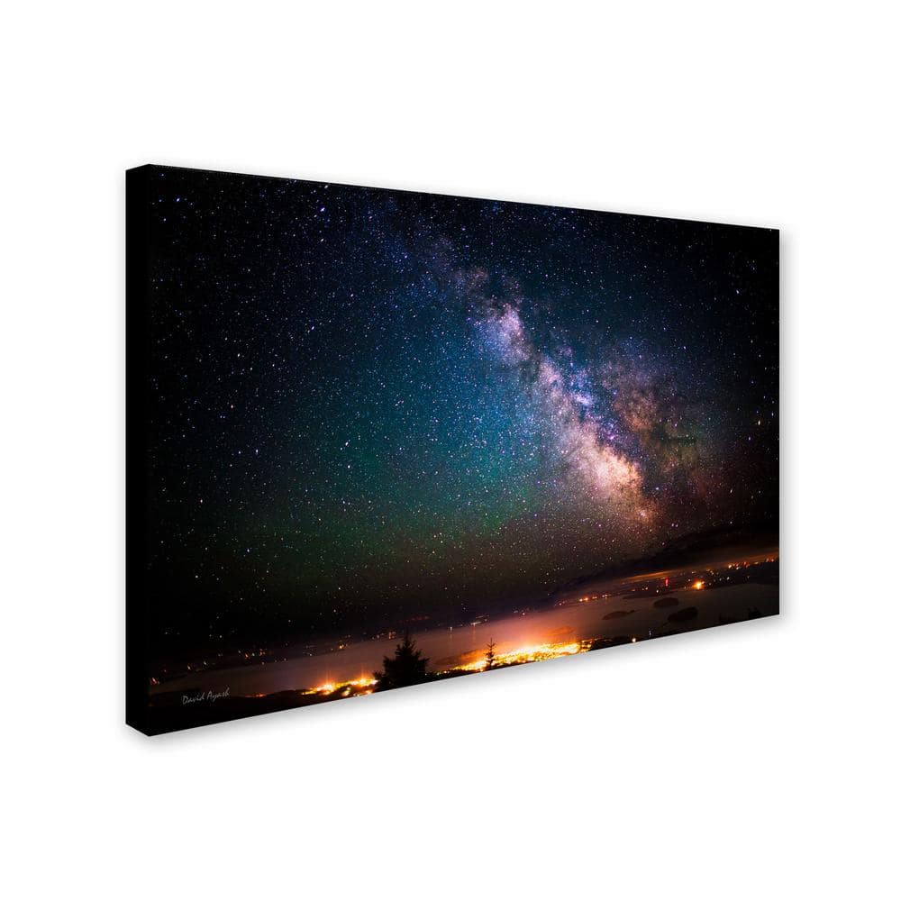 Milky Way Over Acadia National Park Framed Canvas Art