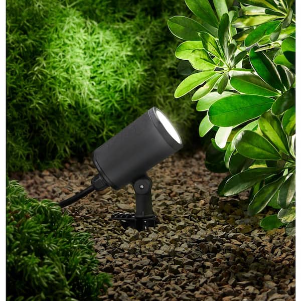 250 Lumen Black Plug-in Integrated LED Outdoor Spotlight with Timer and 10 ft. Power Cable
