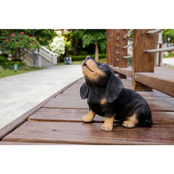 新品CD!Hound Dog ／ ALL THE BEST Home Growm 41Qx0Aux+mL._SY200_QL15_.jpg