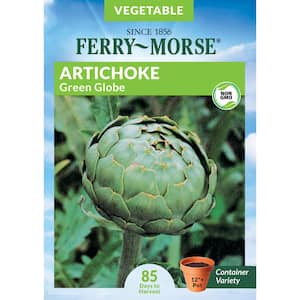 Artichoke Green Globe Seed