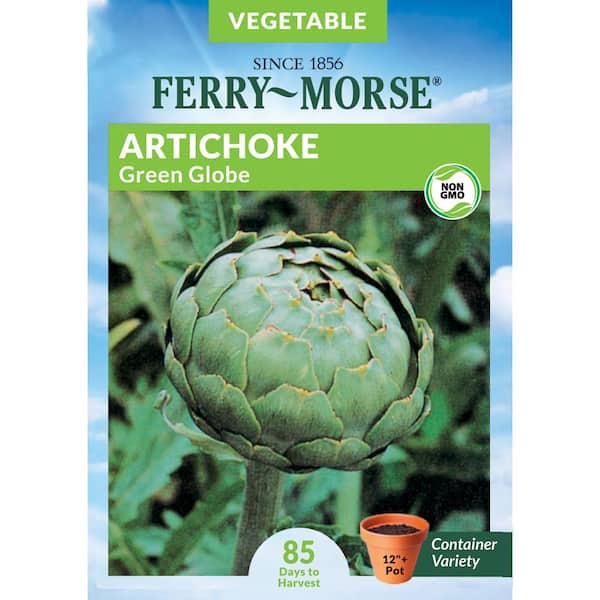 Ferry-Morse Artichoke Green Globe Vegetable Seeds