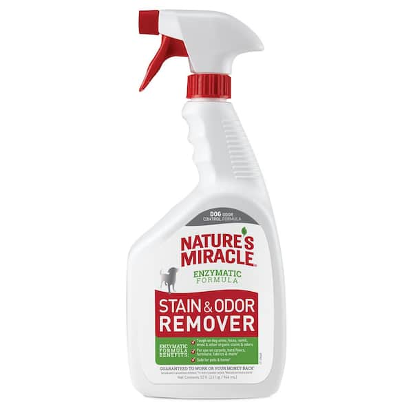 36 Best Pet-Safe Cleaning Products for Pet Messes 2021