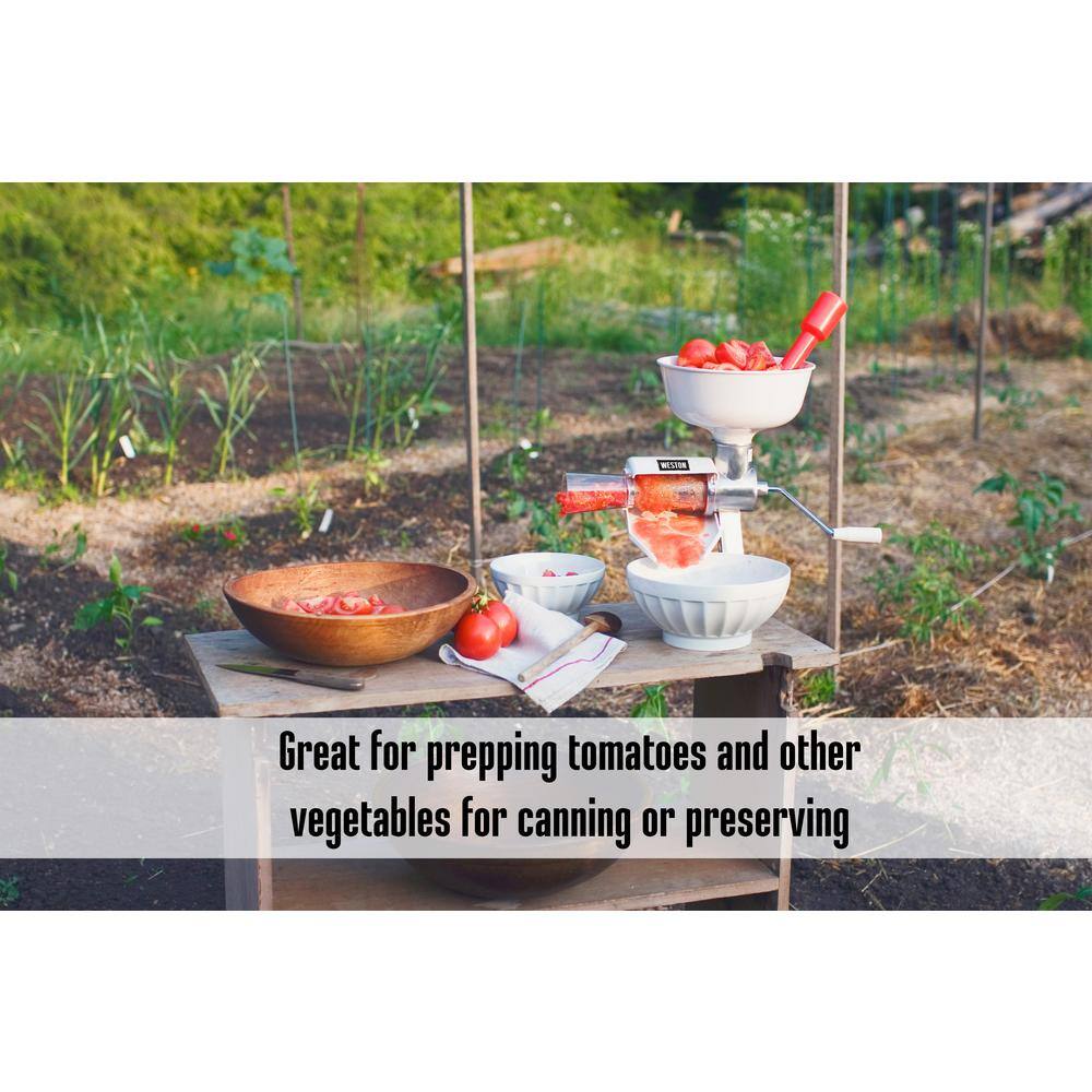 Stainless Steel Tomato Press with Food Strainer and Clamp