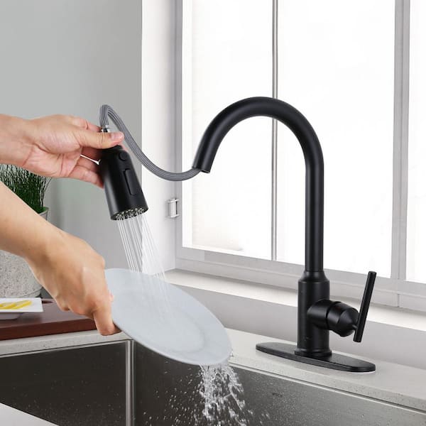 WOWOW Single-Handle Pull-Down Stainless Steel Sprayer Kitchen