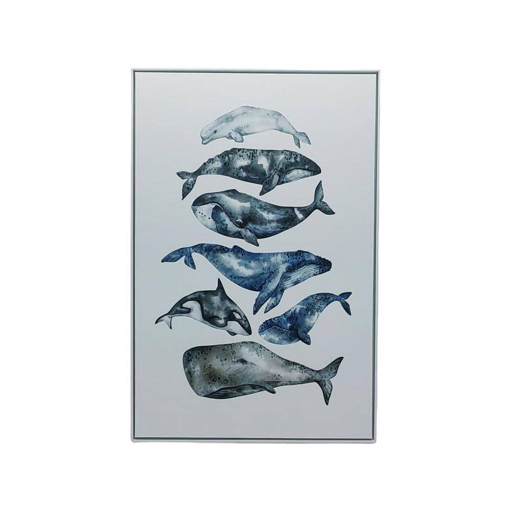 Whale Study Framed Animal Art Print 36 in. x 24 in.